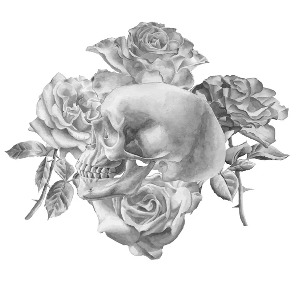 Monochromatyczne ilustracja z czaszki i róże — Wektor stockowy