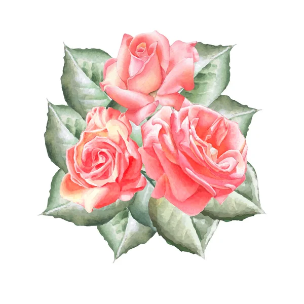 Bouquet de roses. — Image vectorielle