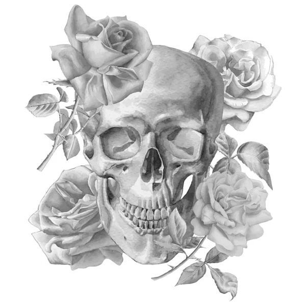 Monochrome Illustration mit Totenkopf und Rosen — Stockvektor