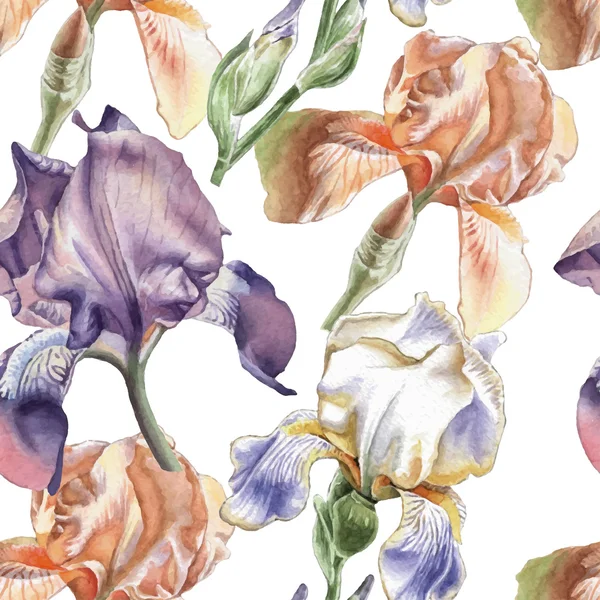 Farklı süsen ile Seamless Modeli