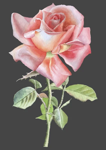 Illustrazione con rosa realistica rossa . — Vettoriale Stock