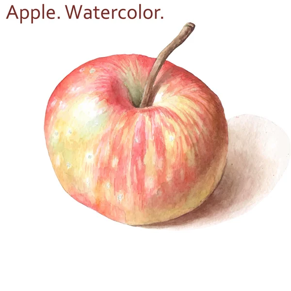 Ілюстрація з яблуком. акварель . — стоковий вектор