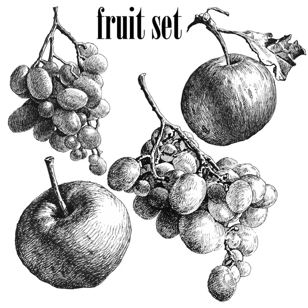 Ilustração com uvas e maçãs —  Vetores de Stock