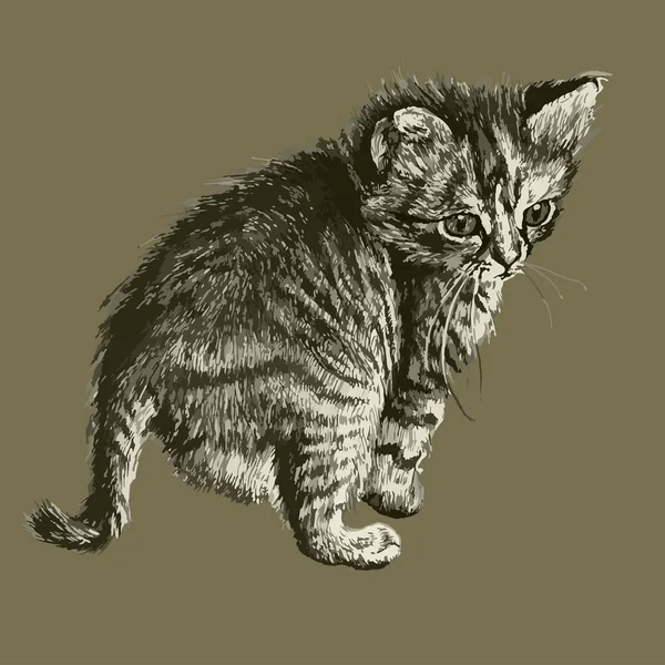 Illustration mit einer niedlichen kleinen Katze — Stockvektor