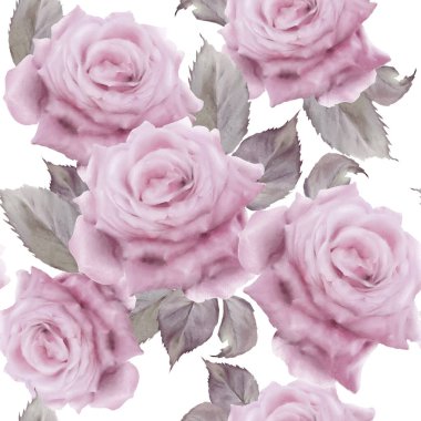 Çiçeklerle kusursuz desen. Gül. Suluboya. El çizimi.