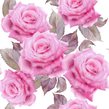 Çiçeklerle kusursuz desen. Gül. Suluboya. El çizimi.