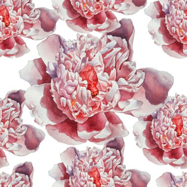 Muhteşem pembe Şakayık ile Seamless Modeli.