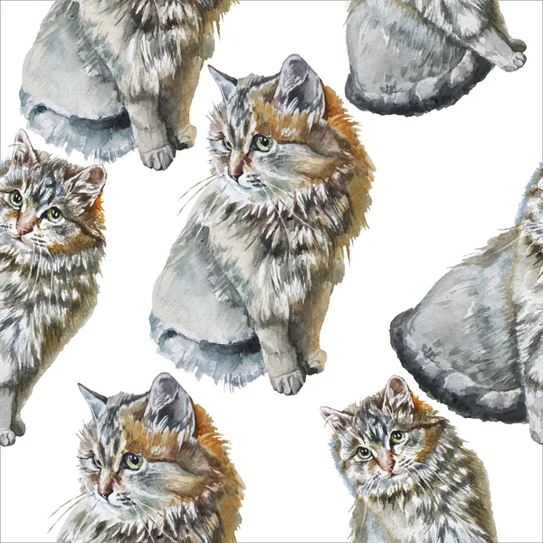 Hladký vzor s roztomilými kočkami. — Stock fotografie