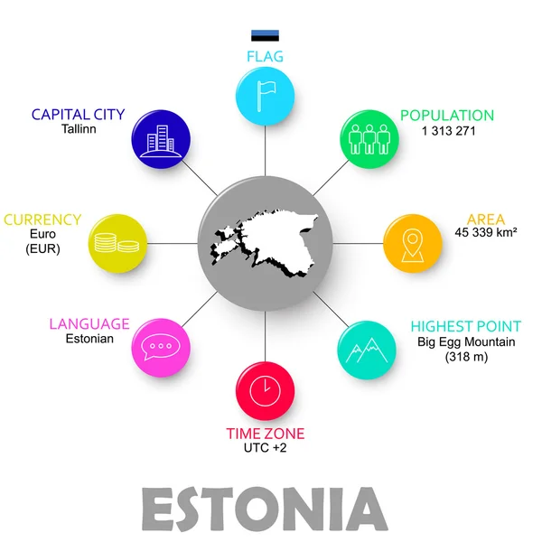 Vektor let infografisk tilstand estonia – Stock-vektor