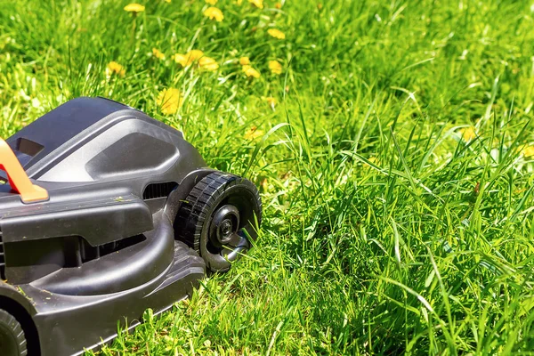 Close-up of a black electric lawn mower in the backyard with green grass grown up. Garden work concept background with copy space. Modern equipment for landscape design.