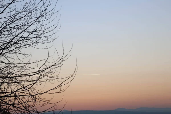 Mooie Zonsondergang Uitzicht Van Boom Aan Zijkant Met Kopieerruimte — Stockfoto