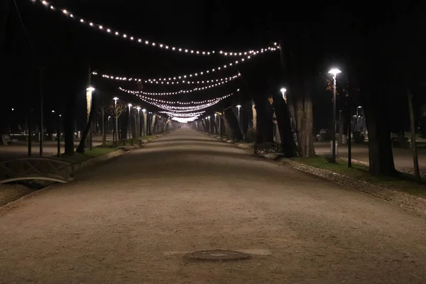 Belo Beco Parque Iluminado Durante Noite — Fotografia de Stock