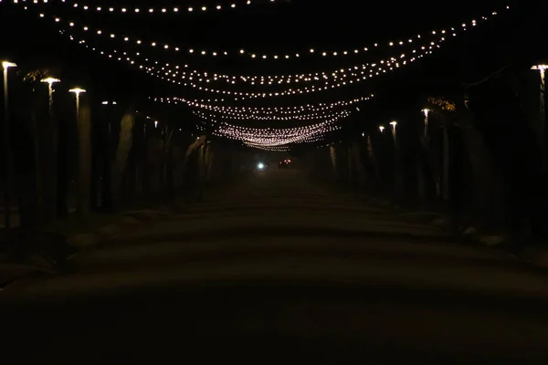 Luzes Deslumbrantes Beco Parque Durante Noite — Fotografia de Stock