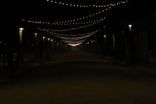 Luzes Beco Parque Durante Noite — Fotografia de Stock