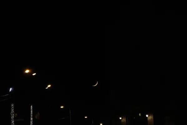 Nattljus Och Halvmåne Stockfoto