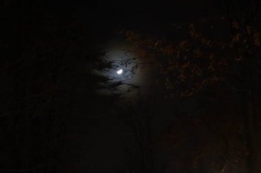 Ay ve onun aydınlığı,