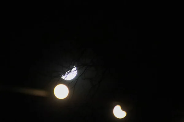 Лунный Свет Дерево Огни — стоковое фото