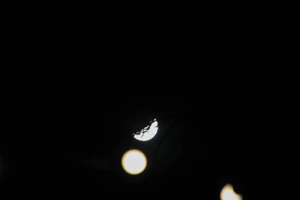 Lámpa Bulc Hold Éjszakai Idő — Stock Fotó