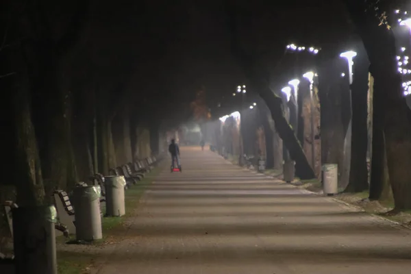 セグウェイの公園の路地で男 — ストック写真