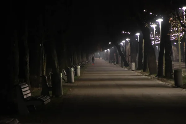 Çok Uzaklarda Bir Sokakta Yürüyen Bir Adamla Parkta Güzel Boş — Stok fotoğraf