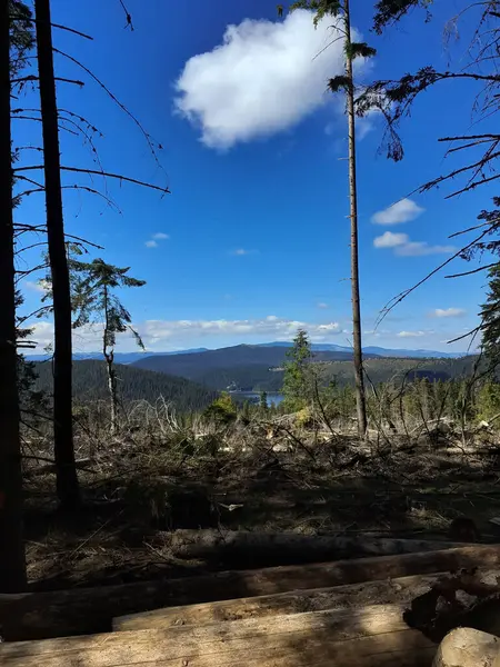 Piękne Pasmo Górskie Widok Jezioro Przez Drzewa Czyste Niebo Latem — Zdjęcie stockowe