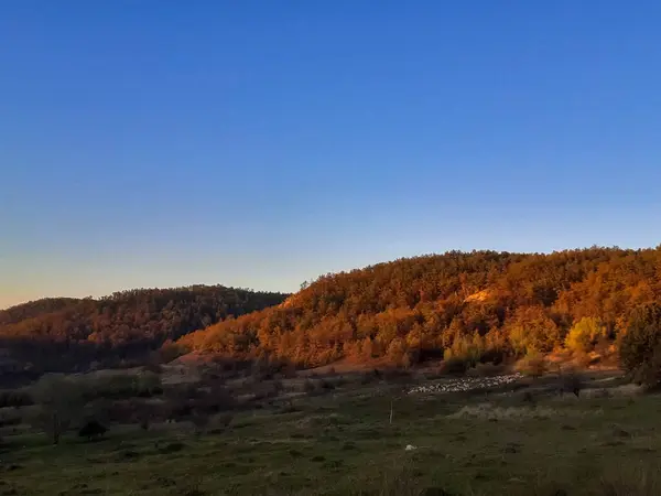 Bela Paisagem Colina Pôr Sol Durante Outono — Fotografia de Stock