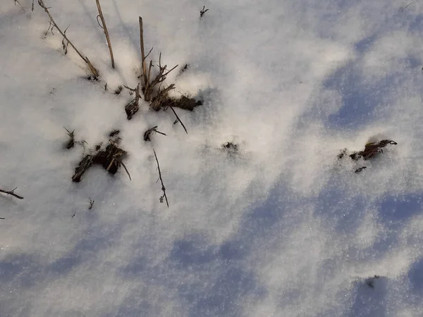 Neve Vicino Come Sfondo — Foto Stock