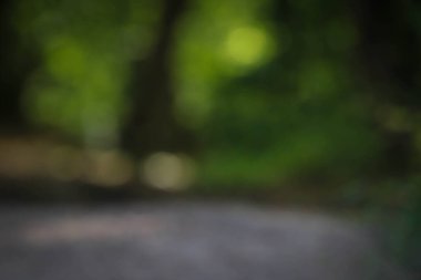 Odaklanamayan doğal yeşil ağaç ve yol soyut arkaplanı.