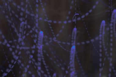 Mavi noktalı arkaplan ve arkasında duman olan soyut arkaplan.