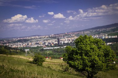 Ağaç ve şehir manzarası, güzel manzara..