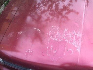 Eski bir arabanın kaputu, hasarlı..