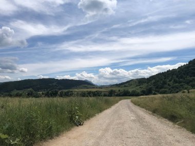 Doğanın ortasında asfaltsız bir yolun güzel manzarası.