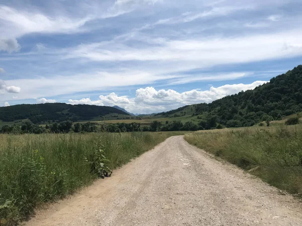 Paisagem Uma Estrada Rural Meio Natureza Não Pavimentada — Fotografia de Stock