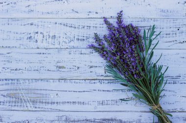 Lavanta buketi, beyaz ahşap arka planda üst manzara. Güzellik ve saflık kavramı olarak güzel ve kısa bir arkaplan