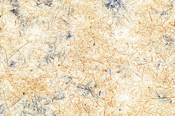 Designer extraordinary background of beige color with the structure of small grass and branches. Large area to insert text