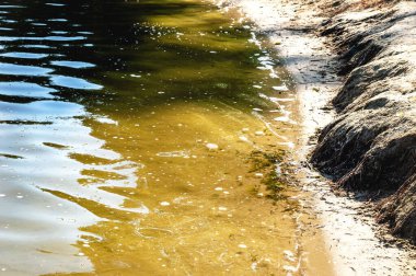 Kakhov rezervuarının boş bankası. Makro fotoğraf. Metin Kopyalama Boşluğu