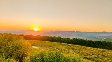 Güzel manzara sarı Meksika ayçiçeği günbatımında Thung Bua Tong, Mae Moh, Lampang, Tayland 'da çiçek açıyor. Tithonia diversifolia. İnanılmaz bir doğa hedefi. Seyahat kavramı