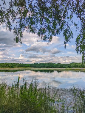 Ormandaki göl, inanılmaz doğa geçmişi.