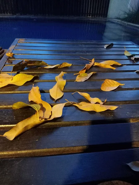 The first signs of autumn. Falling yellow leaves from trees. Tanning bed for the swimming pool. Evening. Thailand. Phuket island.