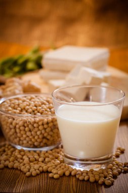 Soya fasulyesi, tofu ve diğer soya ürünleri.