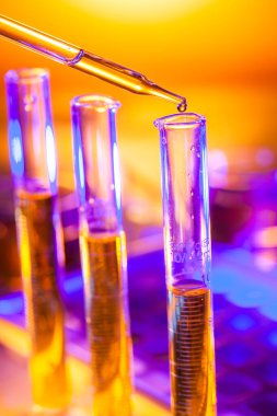 Genetik laboratuarındaki mikrobiyolojik pipette.