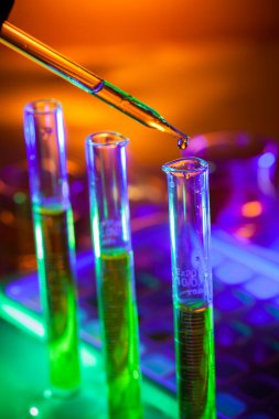 Genetik laboratuarındaki mikrobiyolojik pipette.