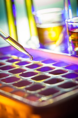 Genetik laboratuarındaki mikrobiyolojik pipette.