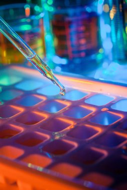 Genetik laboratuarındaki mikrobiyolojik pipette.