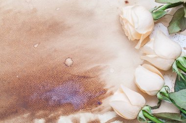 Klasik pembe gül ve eski kağıt arkaplan