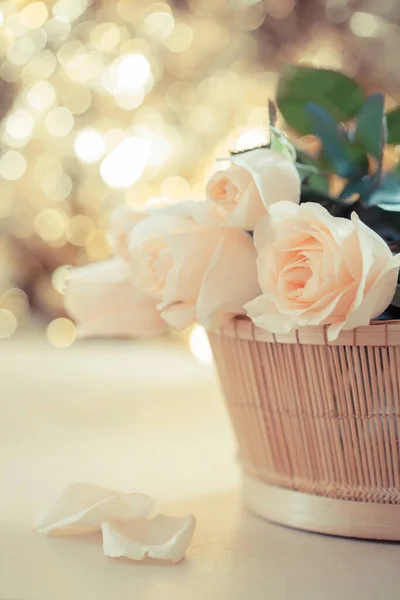 Vintage Roses Background Bokeh — Stock Photo, Image