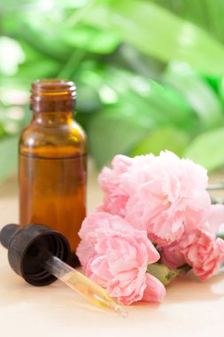 Aromaterapi, bitkisel ilaç ve damlatıcı.