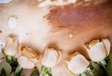 Klasik pembe gül ve eski kağıt arkaplan