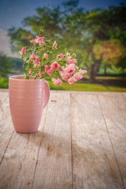 Çiçekli güzel bir yaz bahçesi