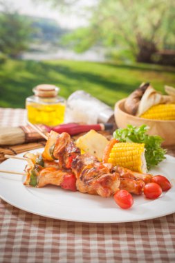 Yazın bahçede barbekü.